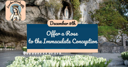 Send a Prayer & Rose to Lourdes – Personal Video Included