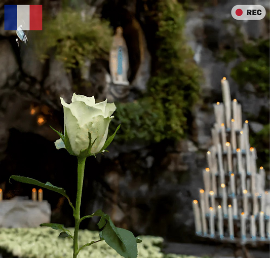 Send a Prayer & Rose to Lourdes – Personal Video Included