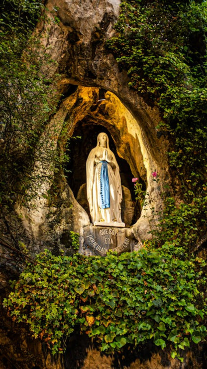 Send a Prayer & Rose to Lourdes – Personal Video Included