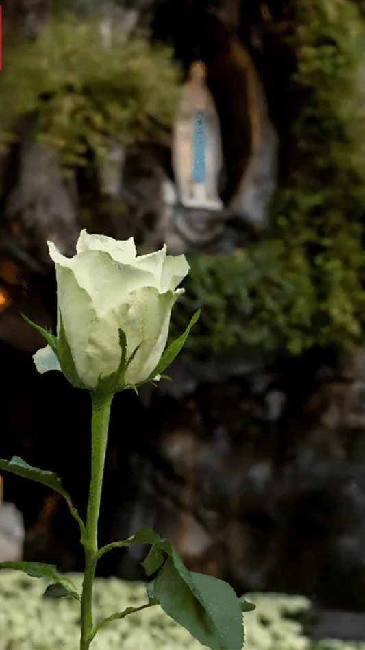 Send a Prayer & Rose to Lourdes – Personal Video Included